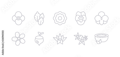 simple gray 10 vector icons set such as natural medical pills, neroli, nymphea, oak, oleander, orchid, pansy. editable vector icon pack