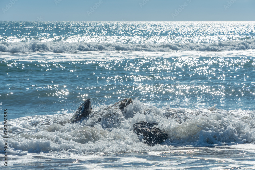 Fototapeta premium Olas