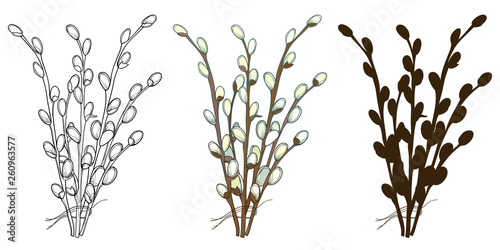 Set with bouquet of outline Willow twigs in pastel and black isolated on white background. 