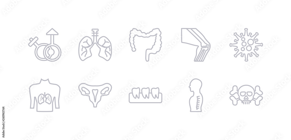 simple gray 10 vector icons set such as human skull with crossed bones, human spine, human teeth, uterus, with focus on the lungs, immune system, kneecap. editable vector icon pack simple gray 10 vector icons set such as human skull with crossed bones, human spine, human teeth, uterus, with focus on the lungs, immune system, kneecap. editable vector icon pack