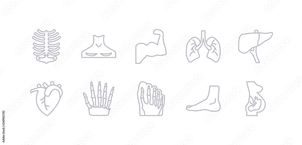 simple gray 10 vector icons set such as human fetus, human foot, human footprints, hand bones, heart, liver, lungs. editable vector icon pack