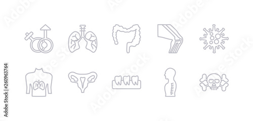 simple gray 10 vector icons set such as human skull with crossed bones, human spine, human teeth, uterus, with focus on the lungs, immune system, kneecap. editable vector icon pack