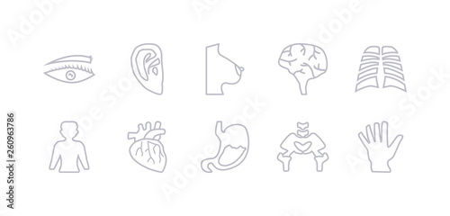 simple gray 10 vector icons set such as hand showing palm, hip bone, human abdomen, human artery, human body standing black, body with x ray plate focusing on stomach, brain. editable vector icon