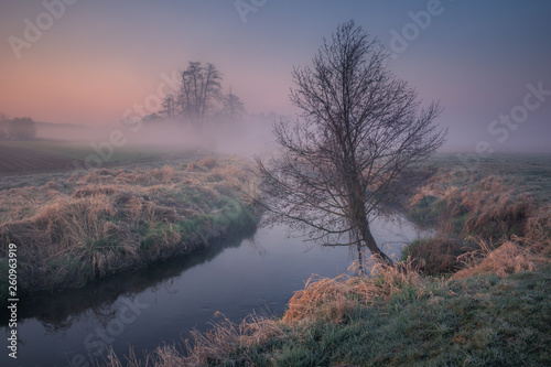 Valley of the Jeziorka River on a foggy morning near Piaseczno, Masovia, Poland