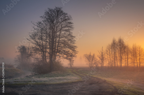 Valley of the Jeziorka River on a foggy morning near Piaseczno  Masovia  Poland