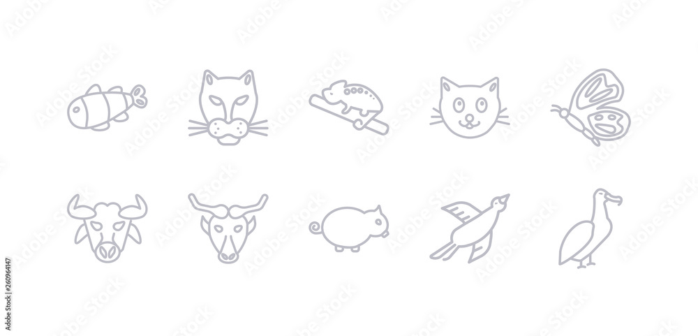 simple gray 10 vector icons set such as albatross, bird, boar, buffalo, bull, butterfly, cat. editable vector icon pack