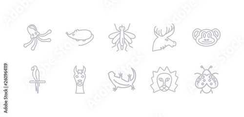simple gray 10 vector icons set such as ladybug, lion, lizard, llama, macaw, monkey, moose. editable vector icon pack