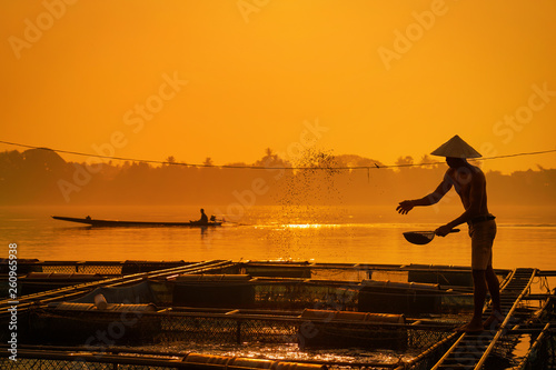 Fisherman feeds the fish in a commercial farm in Mekong river. Farmers feeding fish in cages, Mekong River. The Tilapia for feeding fish in northeast of Thailand.