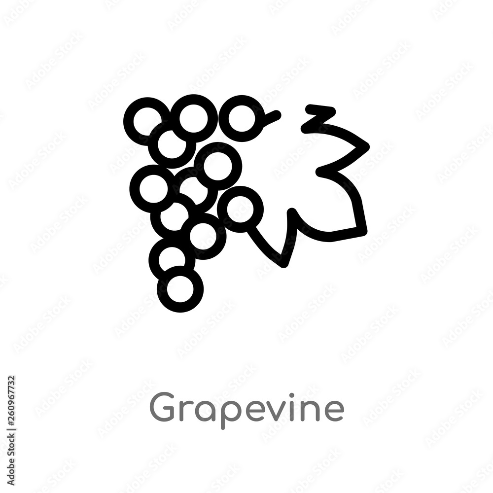 outline grapevine vector icon. isolated black simple line element illustration from nature concept. editable vector stroke grapevine icon on white background outline grapevine vector icon. isolated black simple line element illustration from nature concept. editable vector stroke grapevine icon on white background