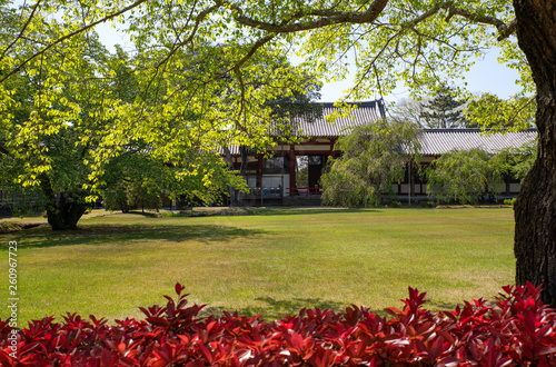 Nara, the ancient  capital of the eighth century