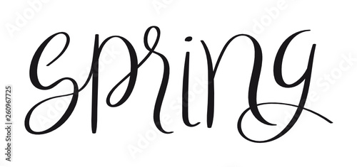 SPRING brush calligraphy banner