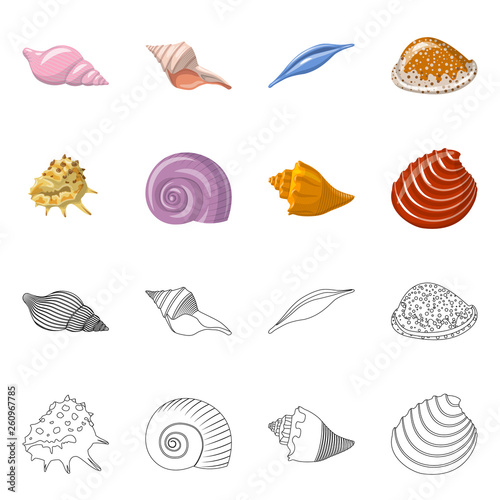 Vector illustration of animal and decoration icon. Set of animal and ocean stock symbol for web. © Svitlana