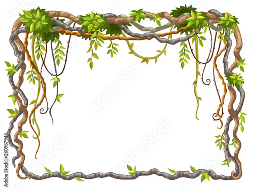 Liana branches and tropical leaves. Cartoon frame plants of jungle with space for text. Isolated vector illustration on white background.