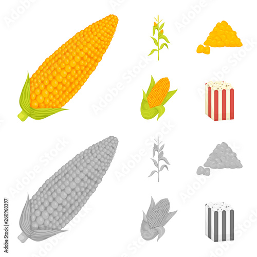 Vector design of cornfield and vegetable sign. Set of cornfield and vegetarian stock symbol for web.