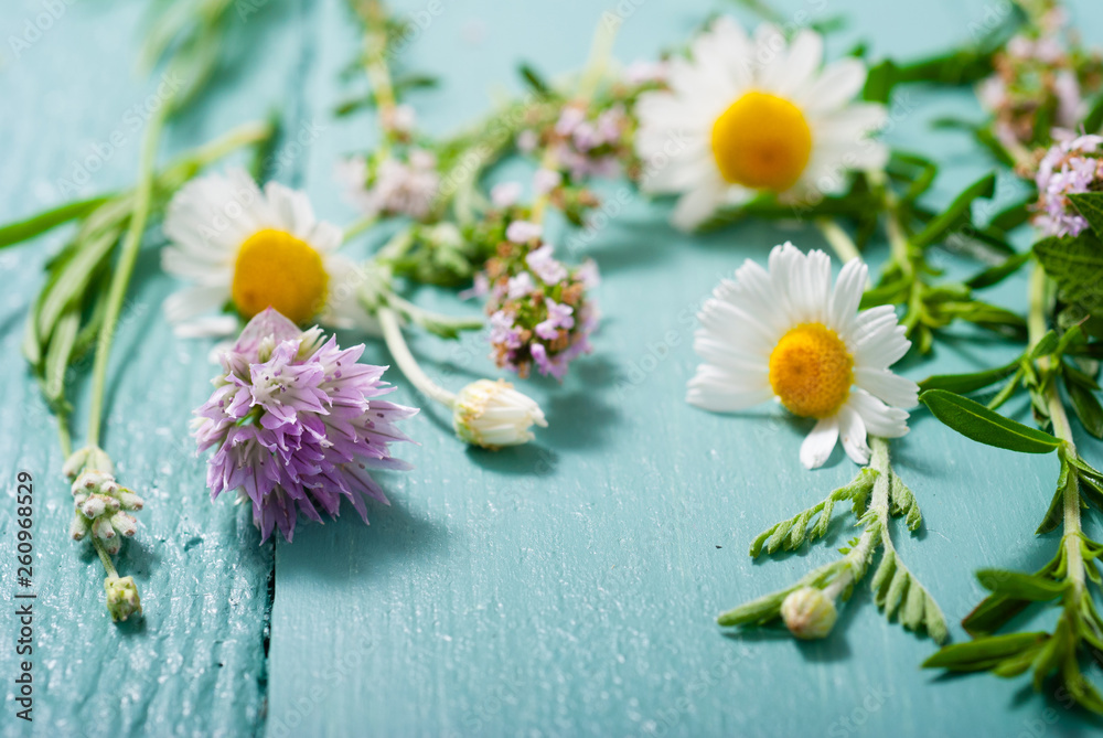 Obraz premium herbal flowers on blue wooden table background