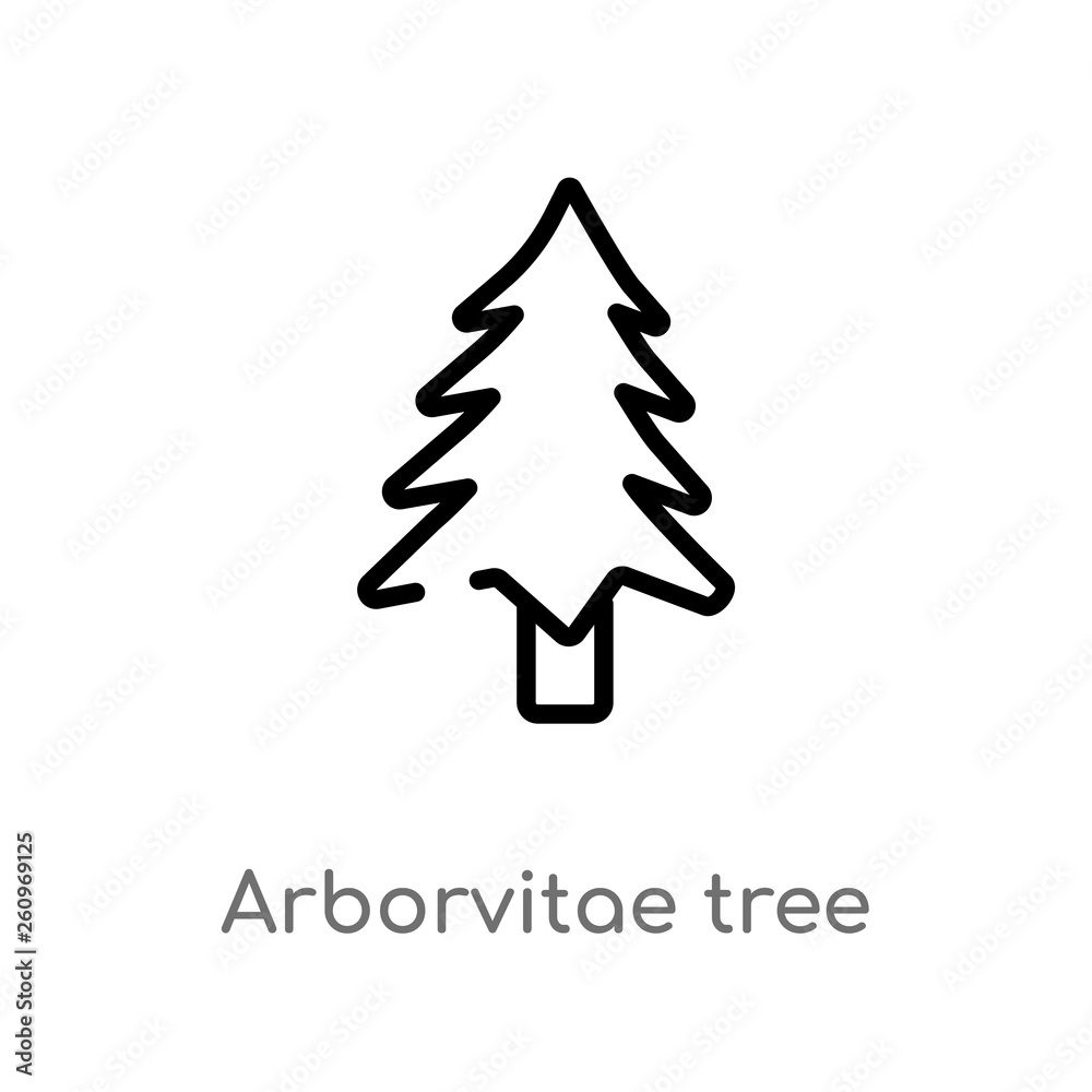 outline arborvitae tree vector icon. isolated black simple line element illustration from nature concept. editable vector stroke arborvitae tree icon on white background outline arborvitae tree vector icon. isolated black simple line element illustration from nature concept. editable vector stroke arborvitae tree icon on white background