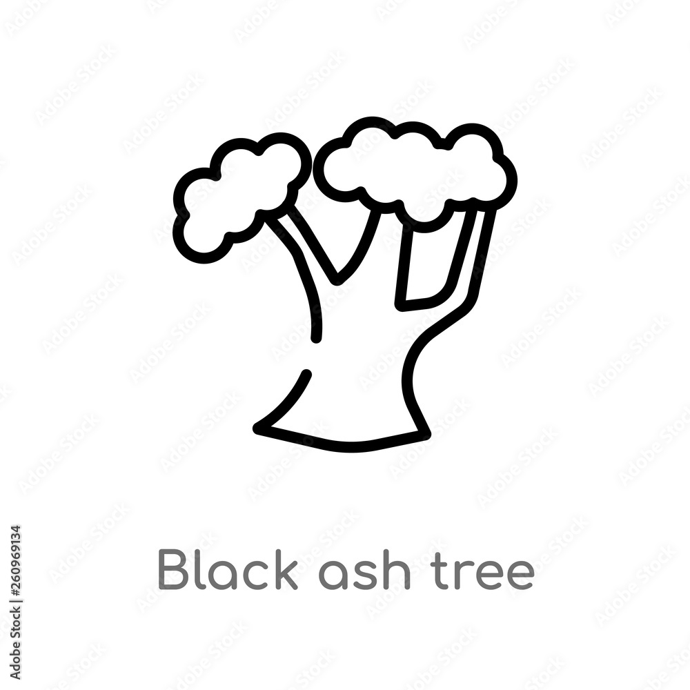 outline black ash tree vector icon. isolated black simple line element illustration from nature concept. editable vector stroke black ash tree icon on white background outline black ash tree vector icon. isolated black simple line element illustration from nature concept. editable vector stroke black ash tree icon on white background