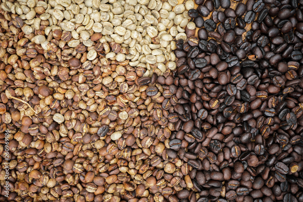 Raw and roasted three colour coffee bean in basket. Raw and roasted three colour coffee bean in basket.