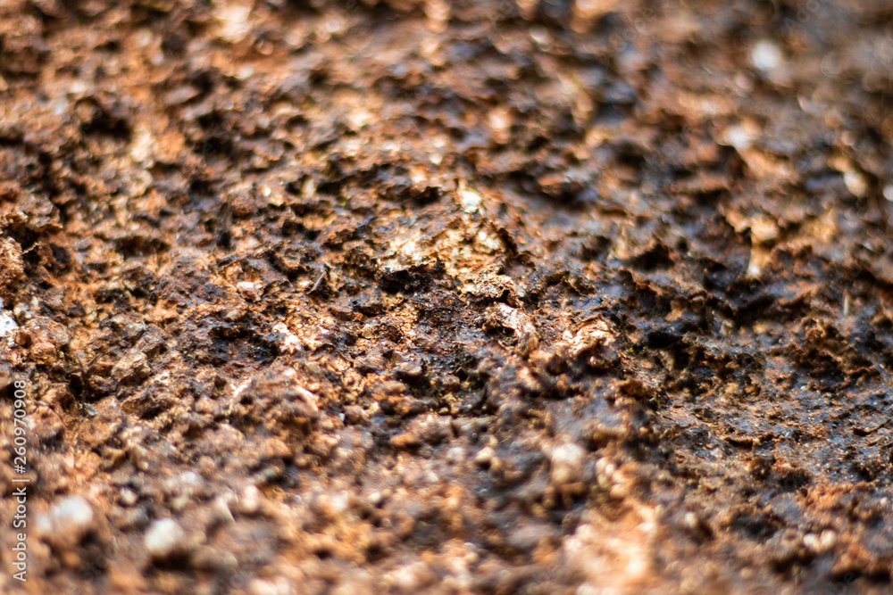 Close up view of surface of the soil wall with roughness. Close up view of surface of the soil wall with roughness.