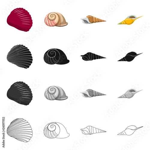 Isolated object of animal and decoration logo. Collection of animal and ocean stock vector illustration.