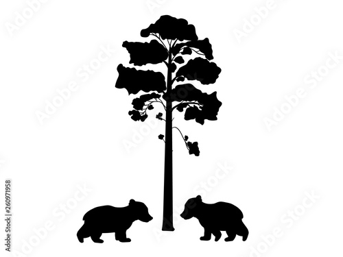 Two cub bears near tree silhouette animal. Vector Illustrator.  
