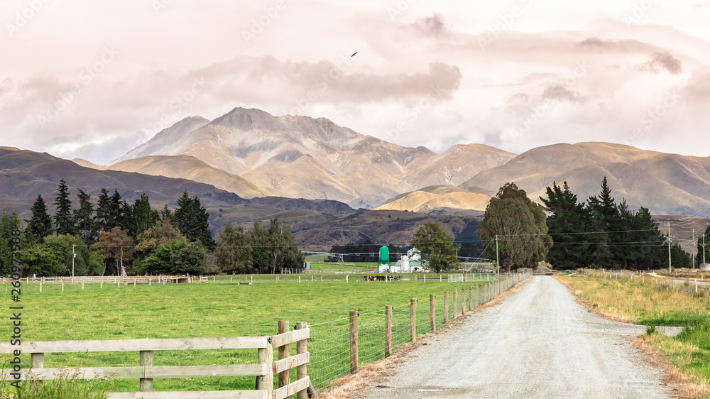 Agriculture in New Zealand south island