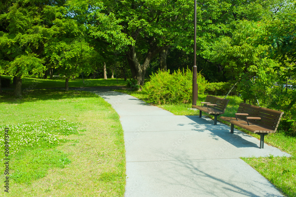 Obraz premium park path