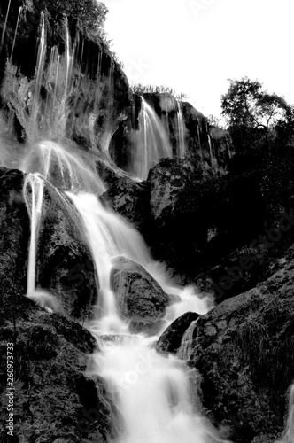 waterfall in forest