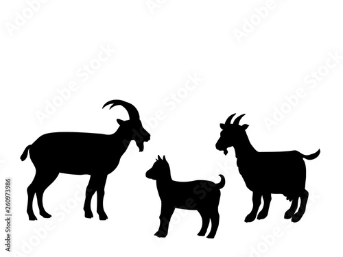 Goat goatling farm mammal black silhouette animal. Vector Illustrator.
