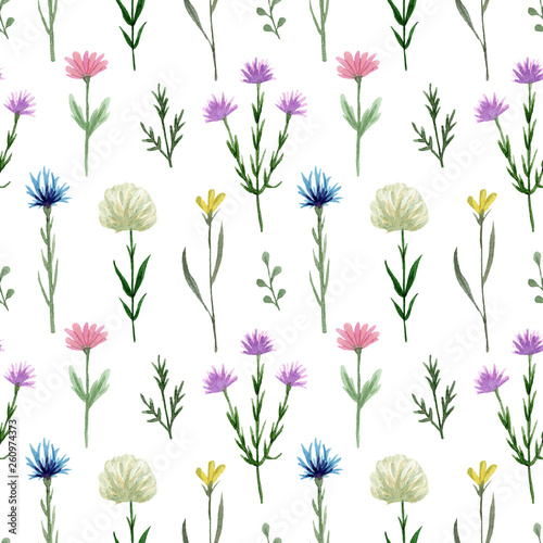 Seamless pattern watercolor wildflowers isolated on white background. Hand drawn painted flowers illustration. Summer disign