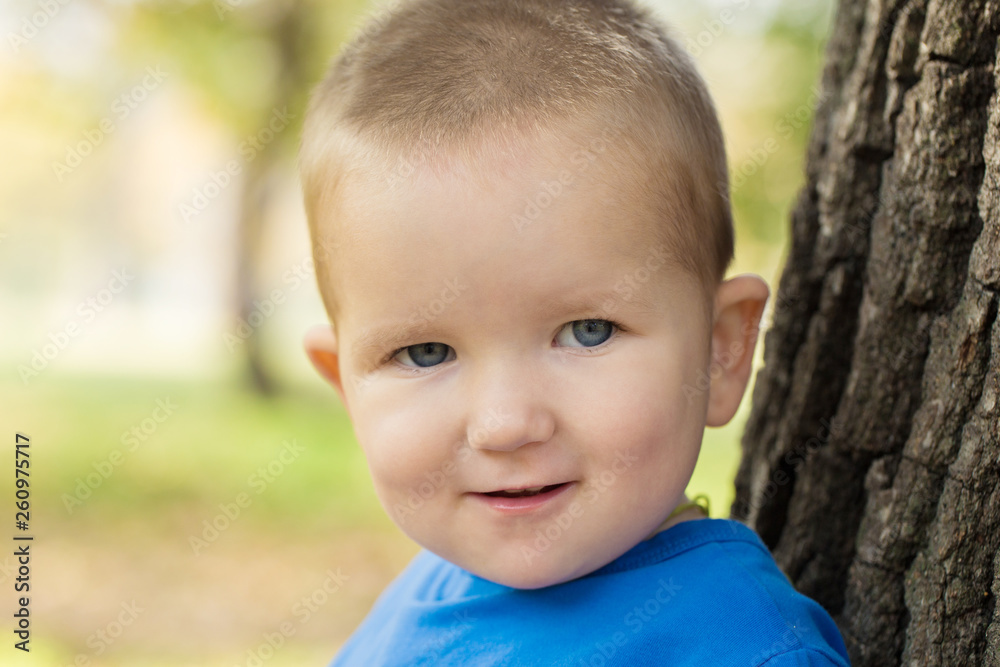 portrait of a smiling little boy dressed in a blue sweater on a sunny day portrait of a smiling little boy dressed in a blue sweater on a sunny day