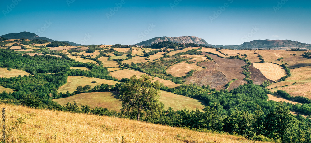 Cultivated land in the northen side of the Florence Province in summertime. Italy.