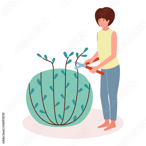 The girl forms and cuts a bush with garden secateur. Work in the garden. Vector illustration in flat style on white isolated background.