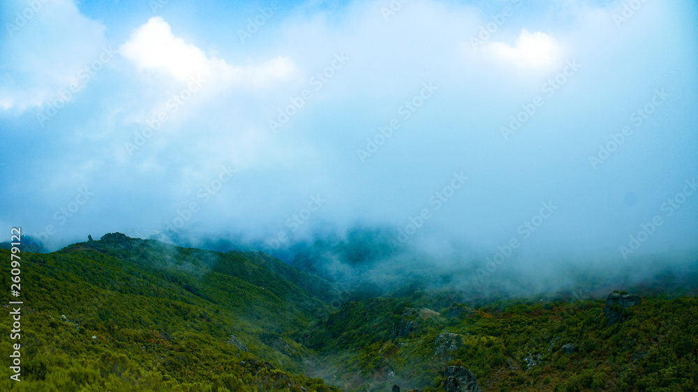 fog in the mountains fog in the mountains
