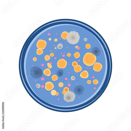 Colony of bacteria and fungus growth in petry dish, vector flat style.