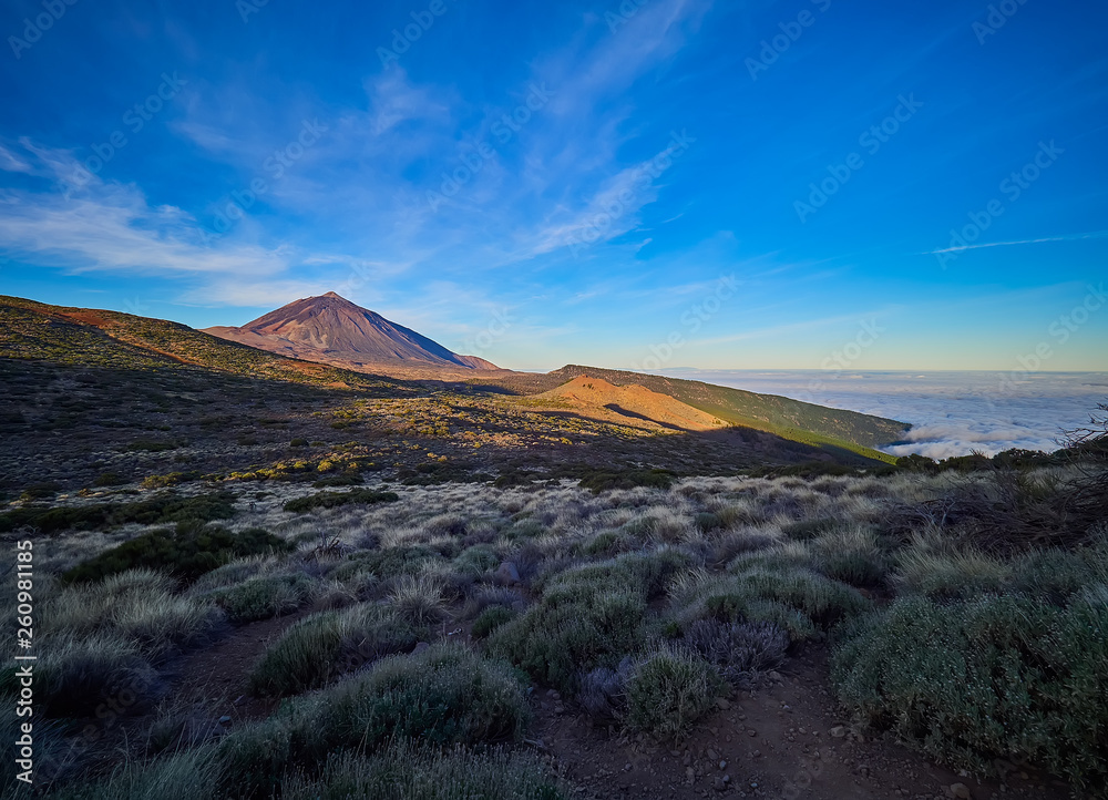 A Spectacular view to the Pico del Teide volcano in Tenerife national park, Canary Island, Spain