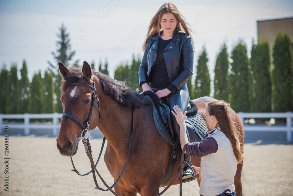 Fototapeta premium Horse riding and equestrian training