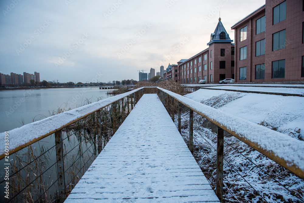 Fototapeta premium Winter Snow Covered Trestle Road of Urban Parks