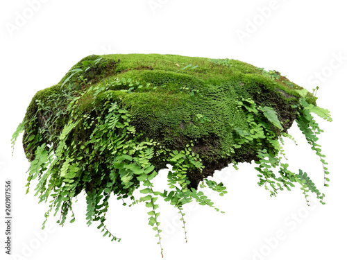 Canvas Print Floating rock island covered by green moss, grass and fern, isolated on white background