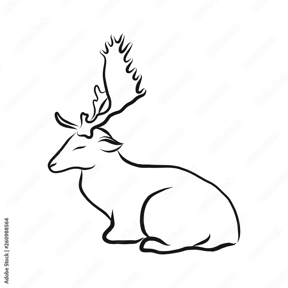How To Draw A Cartoon Deer, Step by Step, Drawing Guide, by Dawn - DragoArt