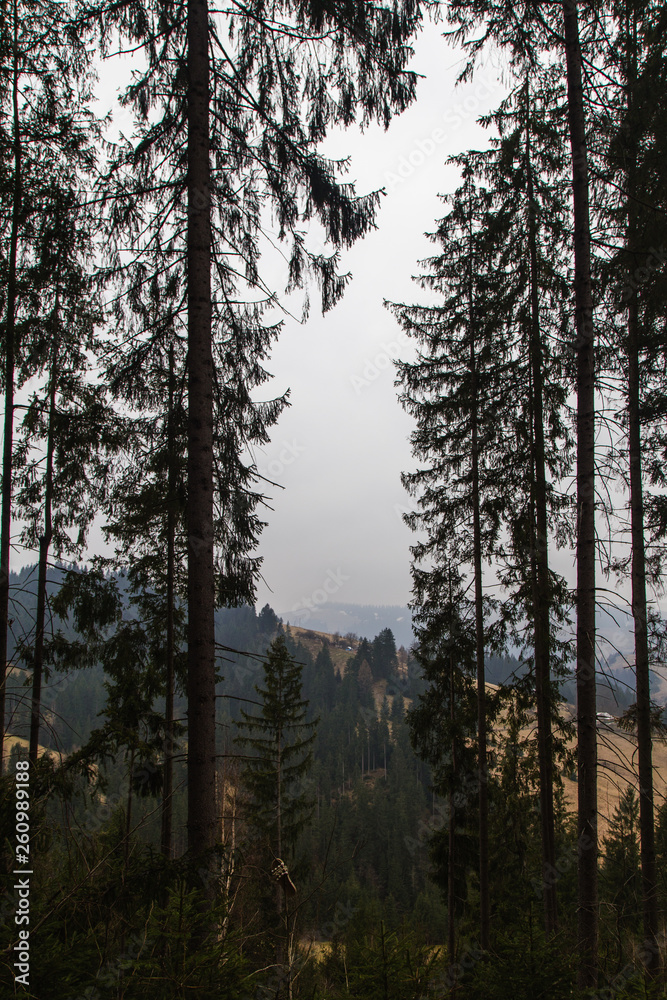 Misty landscape in the mountain area Misty landscape in the mountain area