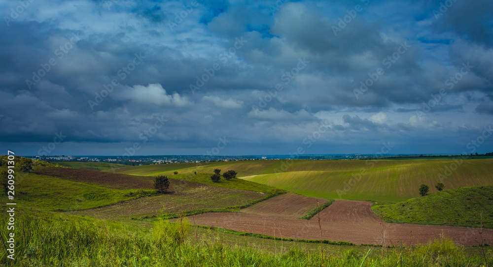 Fields landscape in summer sunset and sunrise