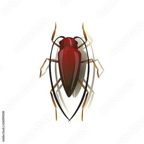Mustache cockroach on white background. Vector illustration.