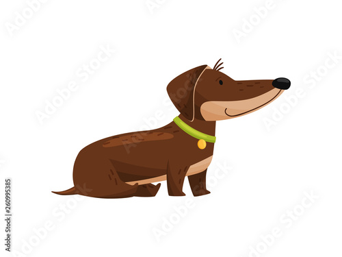 Cartoon dachshund with bone on white background.