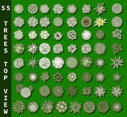 Fotobehang Groen Different trees top view. View from above set for architectural and landscape natural green space design. Vector  © ngaga35