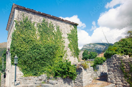 Ancient building in the fortress old bar, Montenegro. Growing ivy over brick walls. Summer.