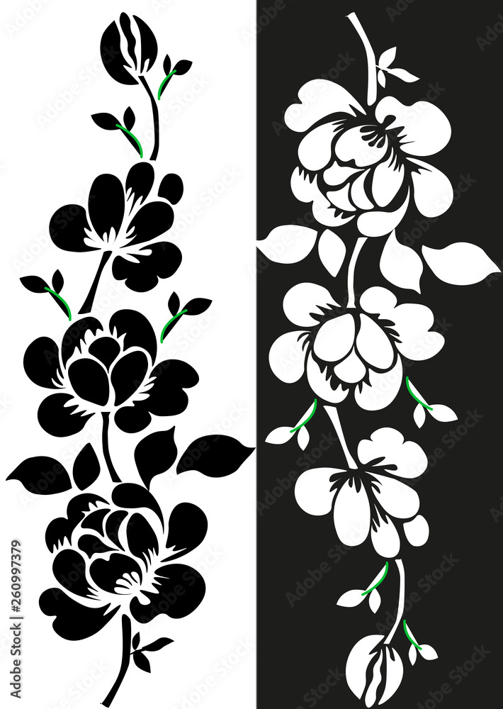  Rose flowers are black and white.
