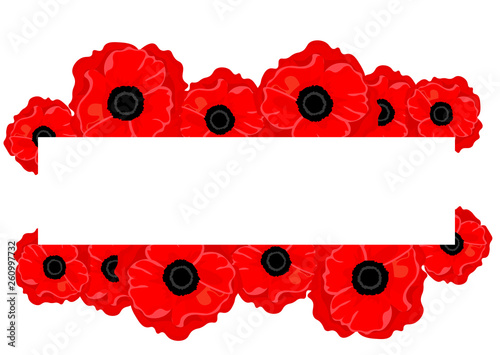 Vector background banner with red poppies