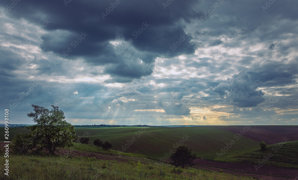 Fototapeta premium Fields landscape in summer sunset and sunrise
