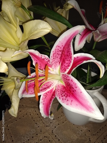 Flor 